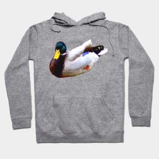 Duck! Hoodie